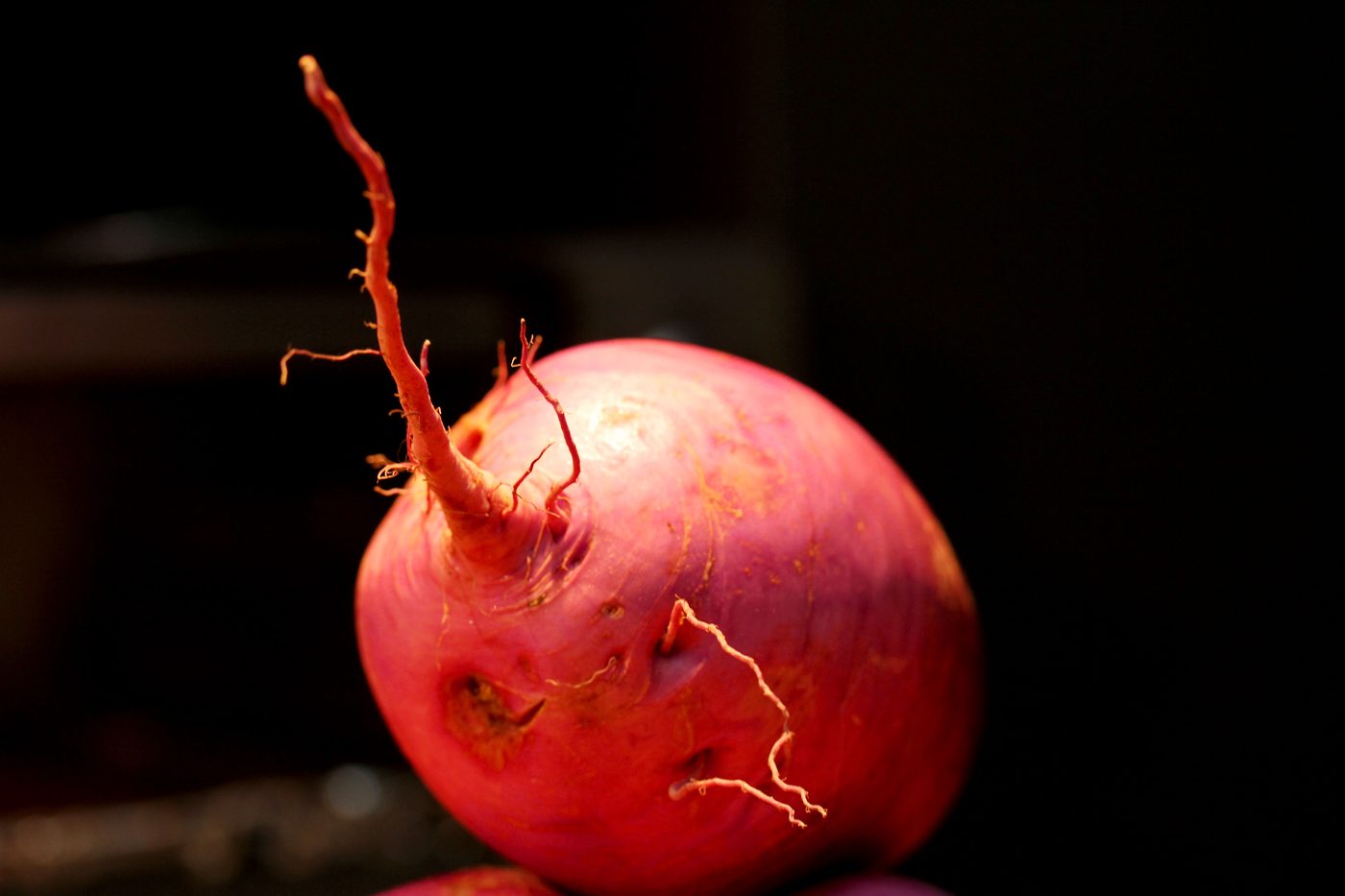 blueradish2