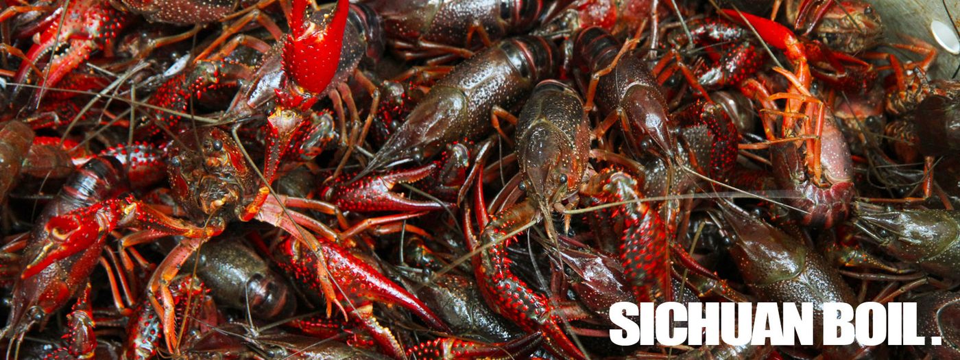 Sichuan Boil